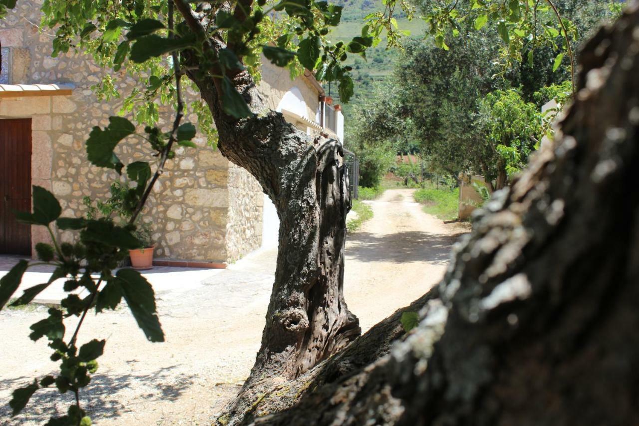 Rustici L'Antico Torchio Villa Castellammare del Golfo Exterior photo